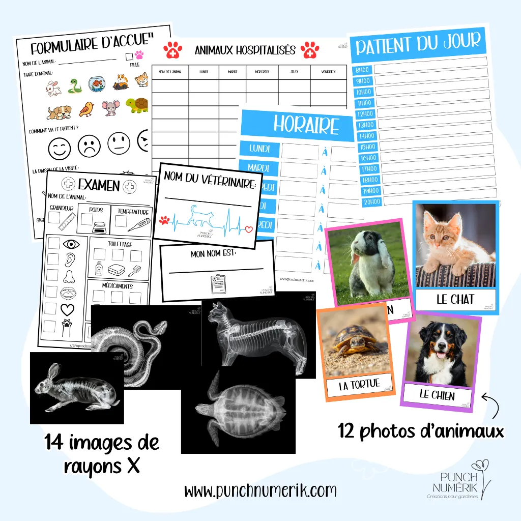 Jeu de rôle - vétérinaire (1).webp