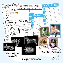 Jeu de rôle - vétérinaire (1).webp