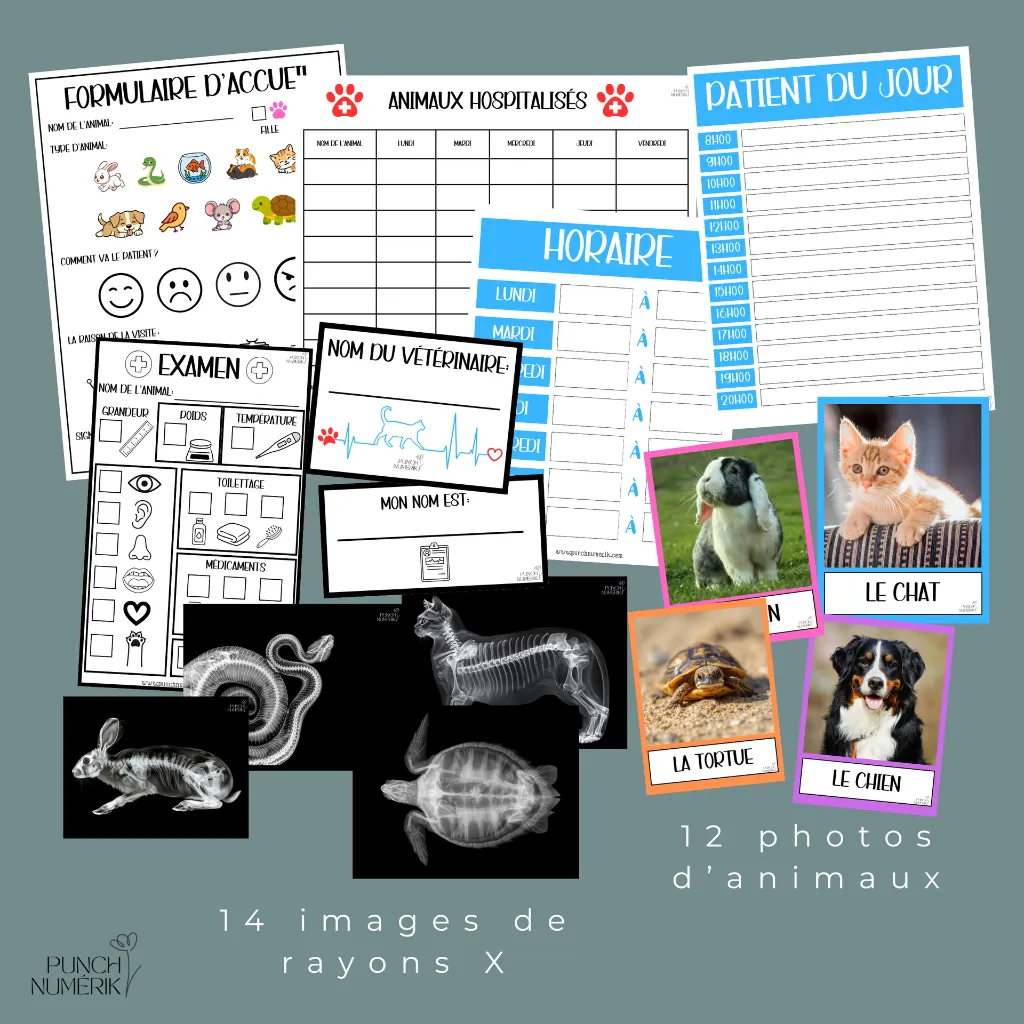 clinique vétérinaire 2.webp