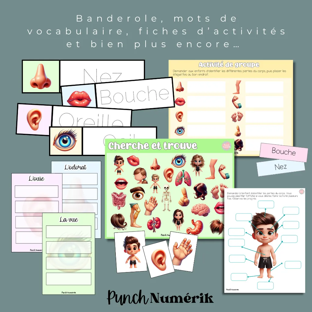 Le corps humain - thématique complète (1).webp