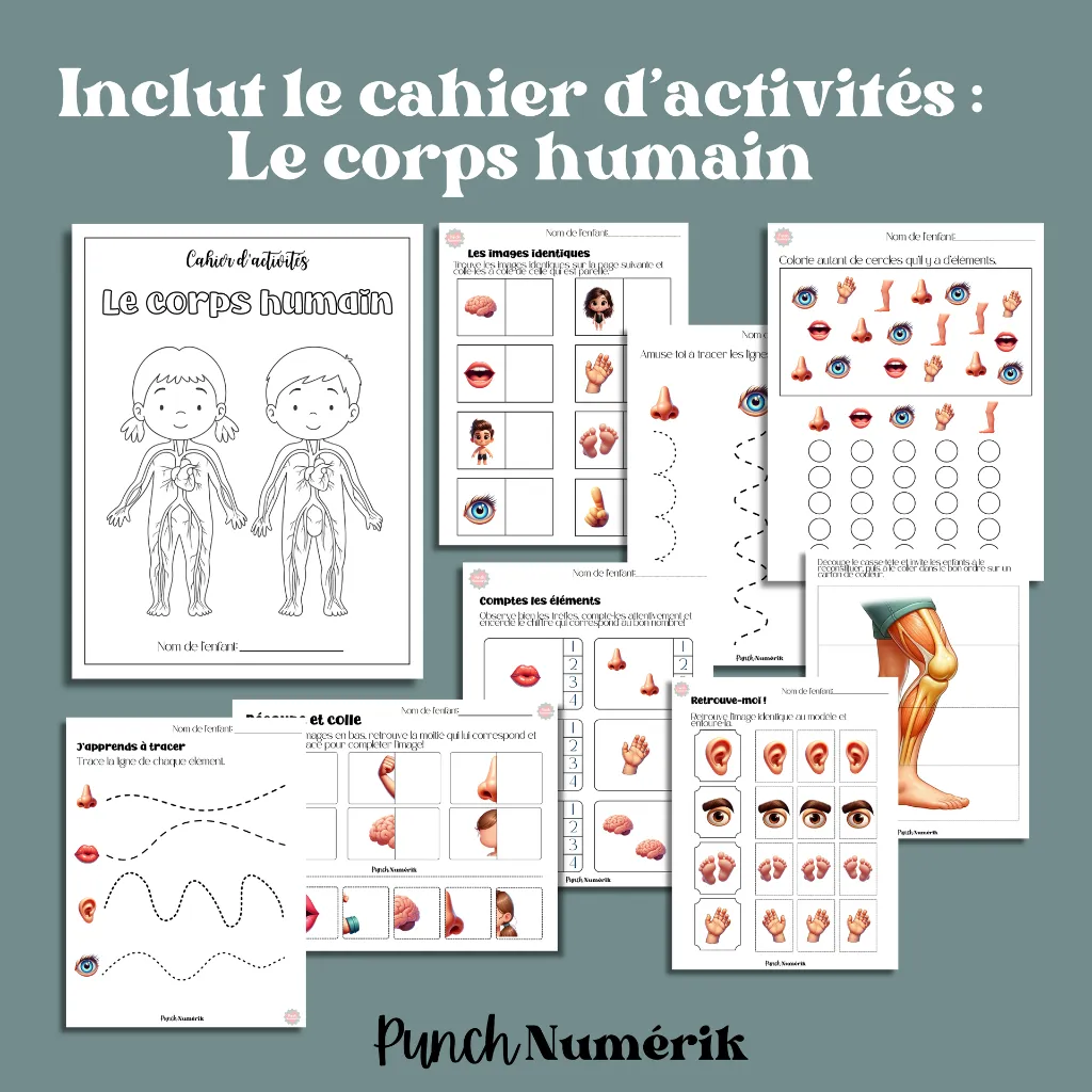 le corps humain .webp