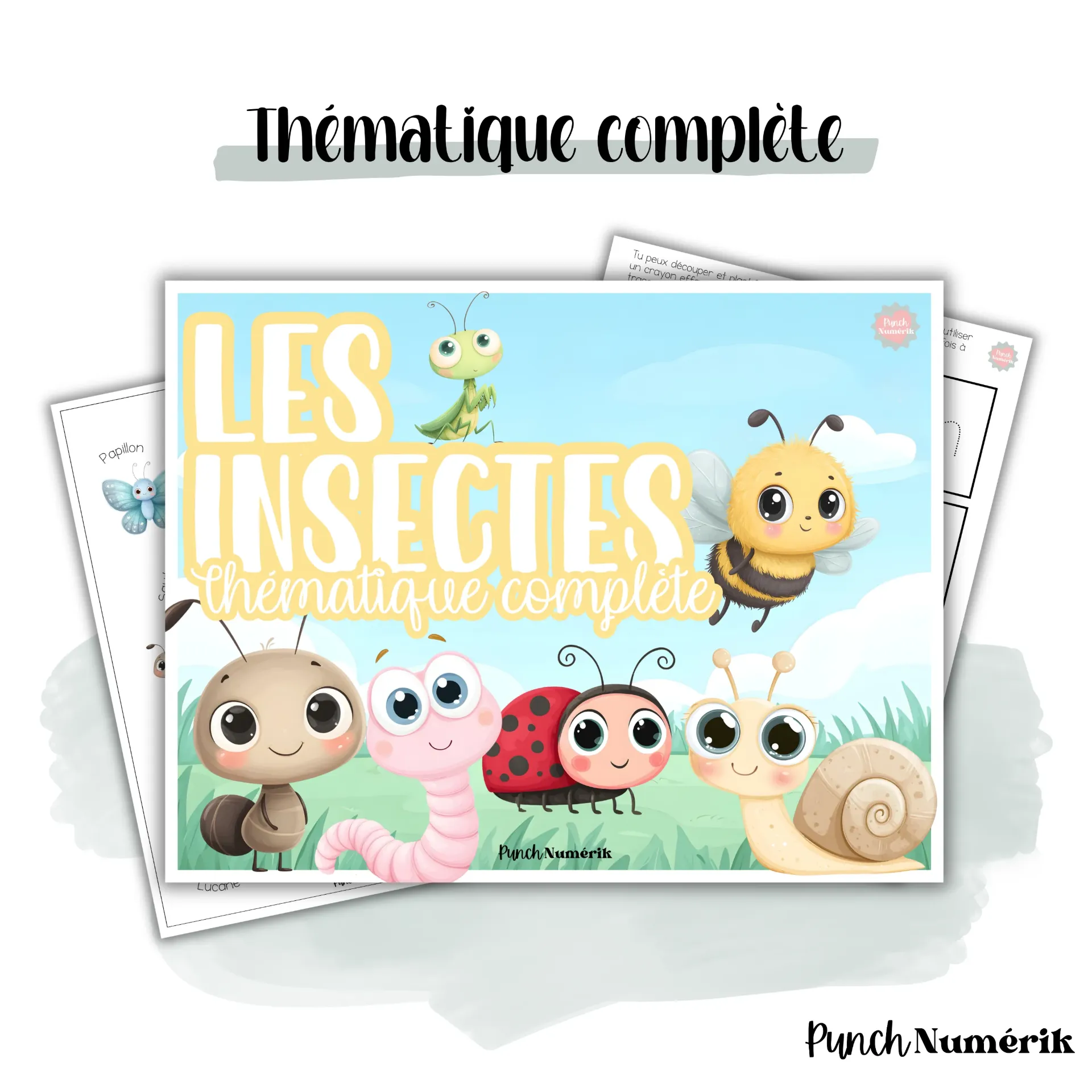Trousse éducative : Les insectes