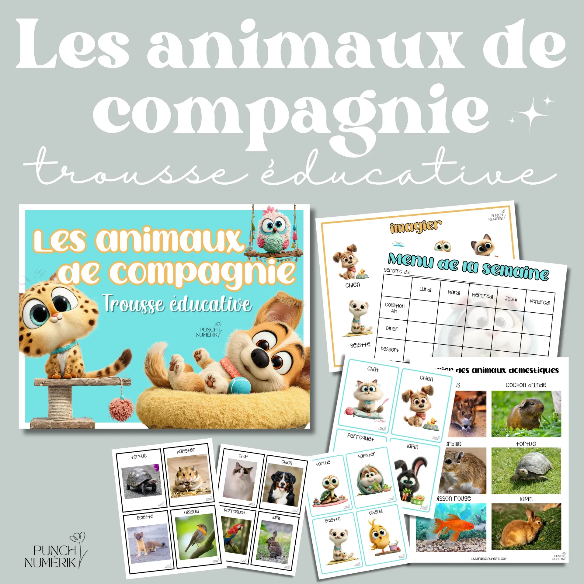Thématique complète : Les animaux de compagnie