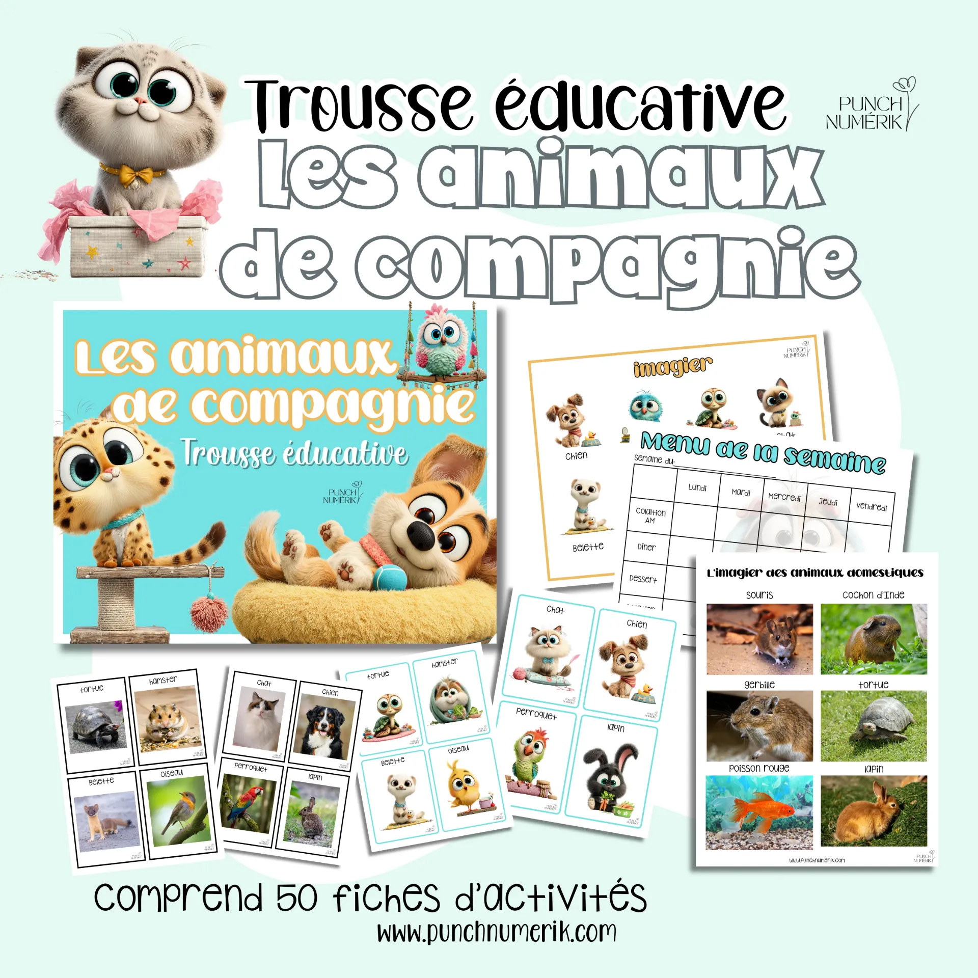 Trousse éducative : Les animaux de compagnie (51 fiches)
