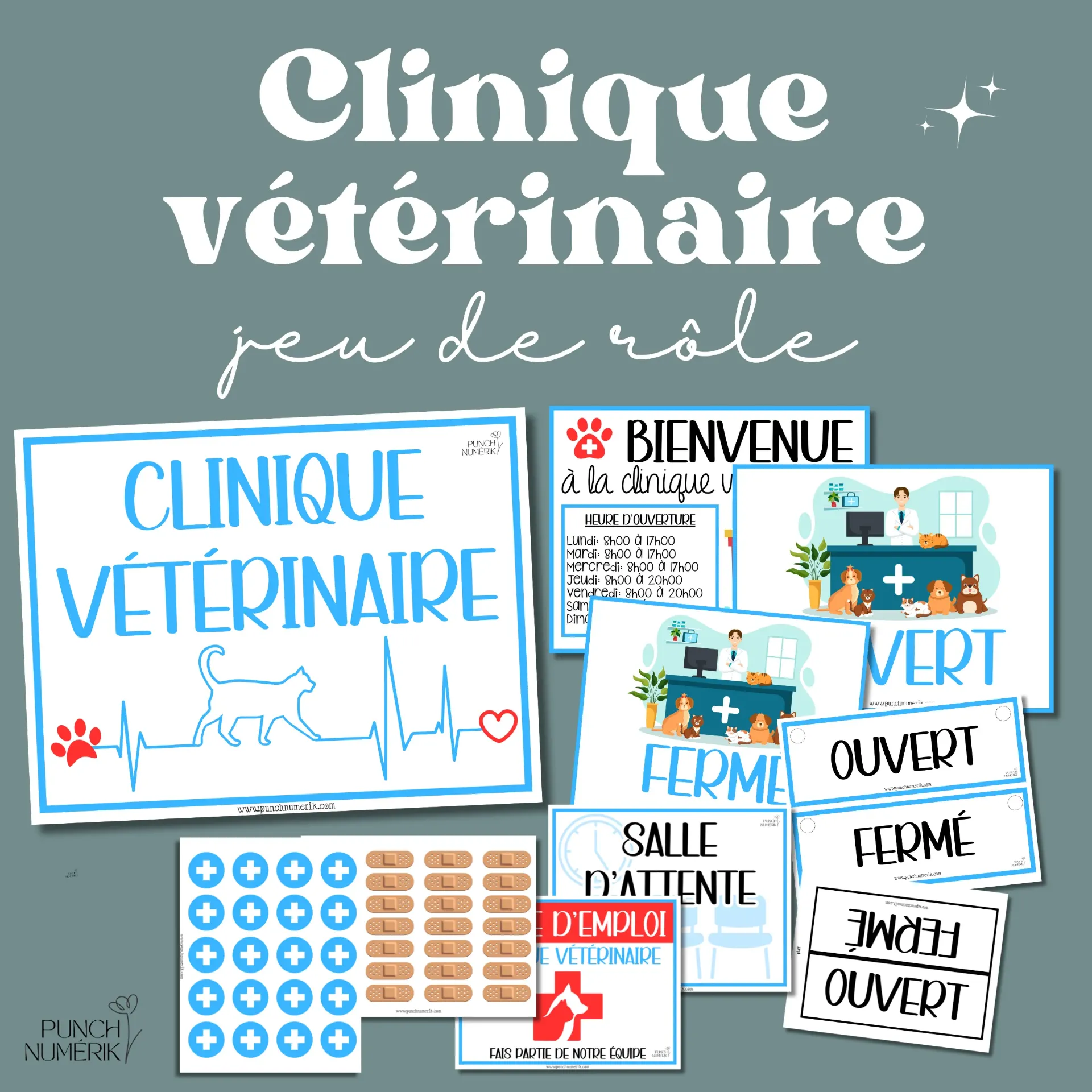 Jeu de rôle – Clinique vétérinaire (48 fiches)