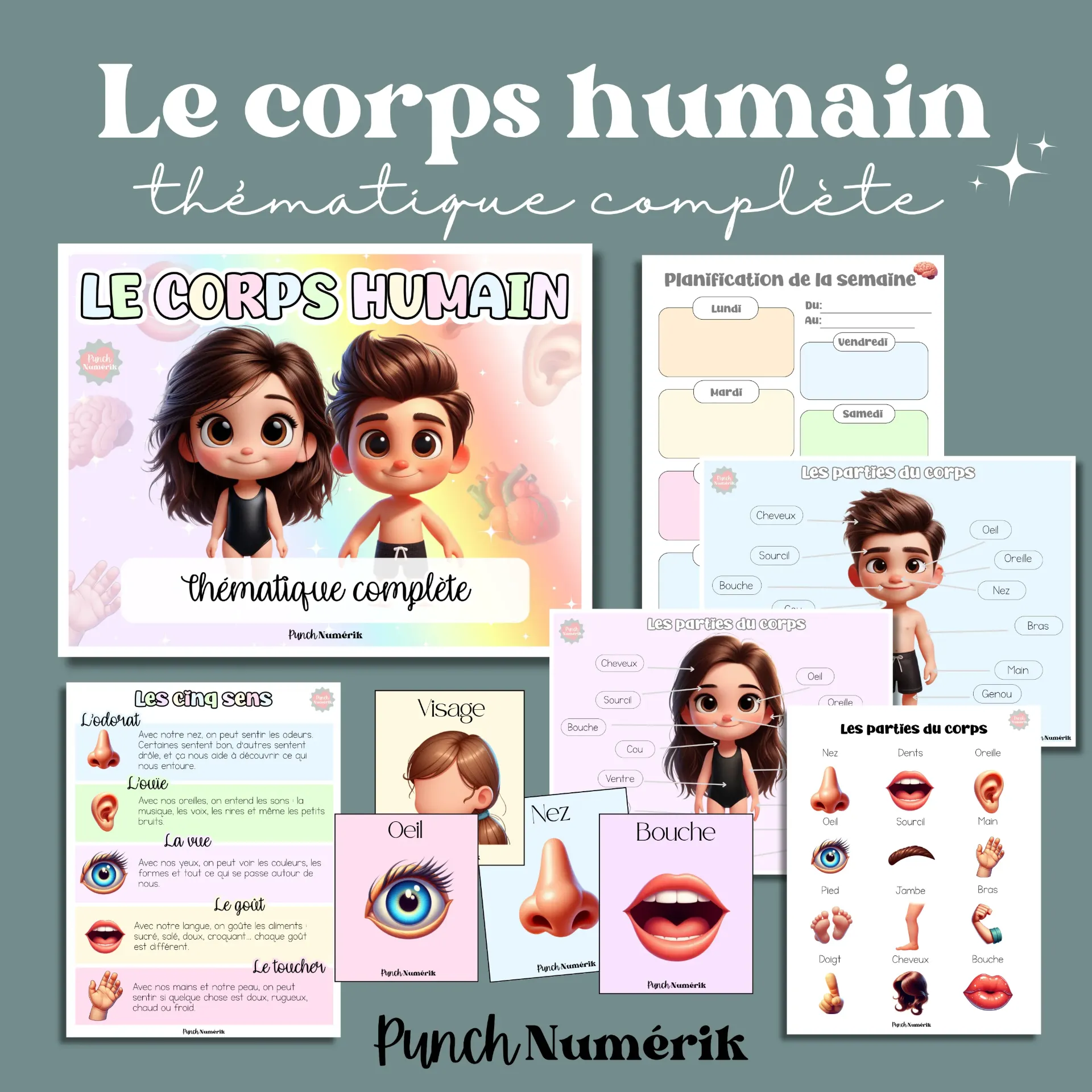 Thématique complète: Le corps humain (Cahier d’activités inclus)