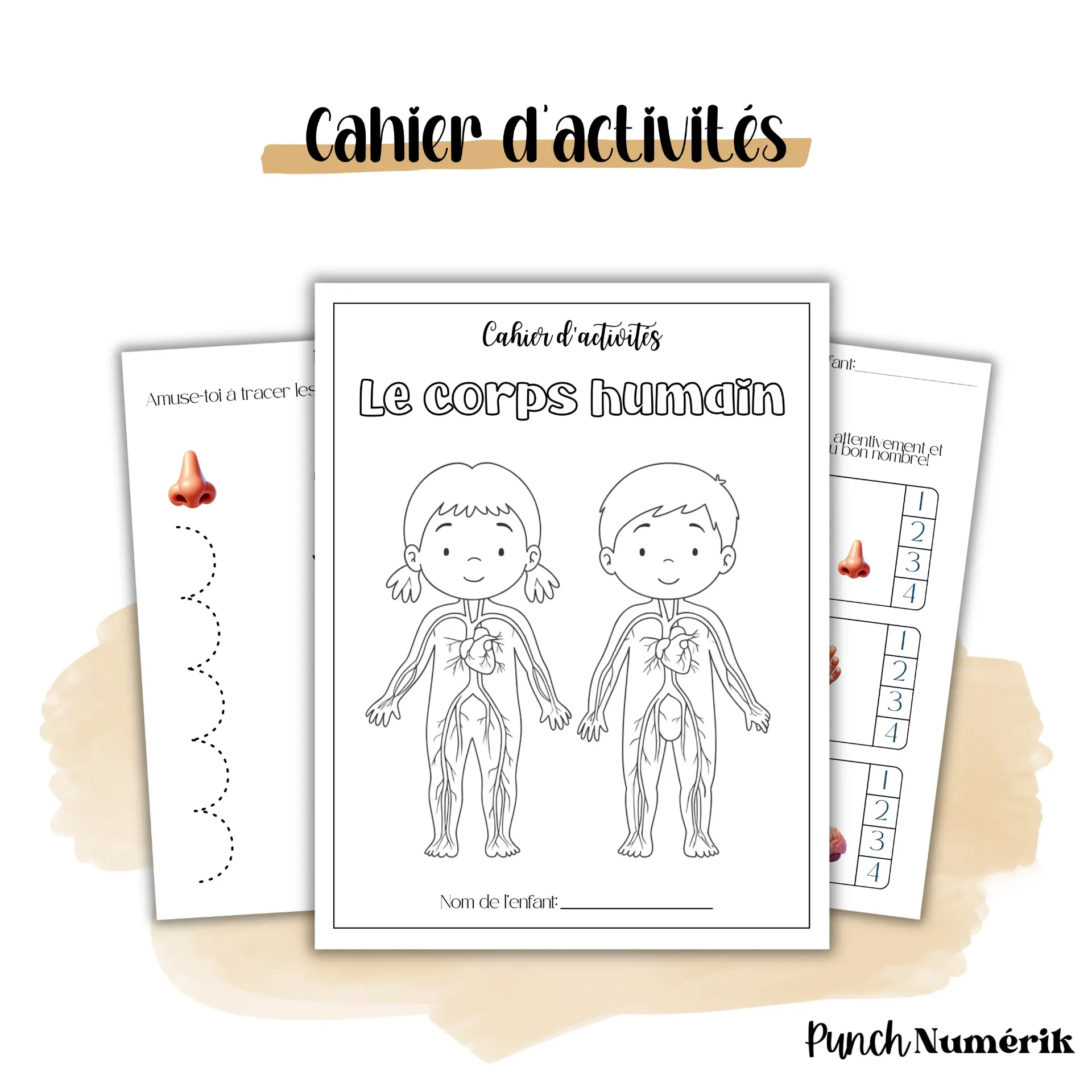 Cahier d'activités - Le corps humain (couleur)