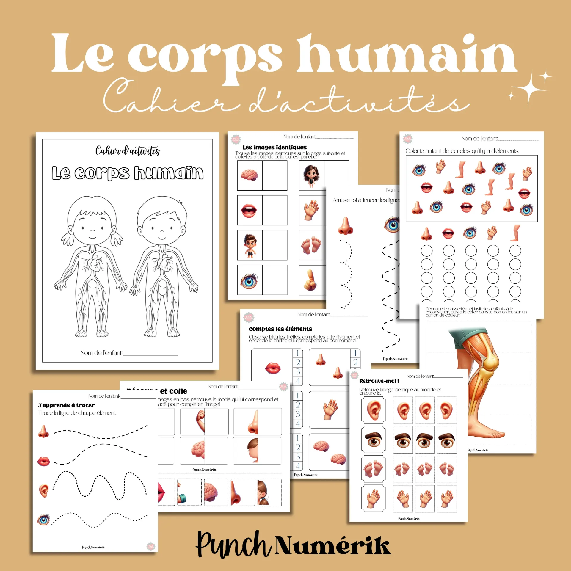 Cahier d'activités - Le corps humain