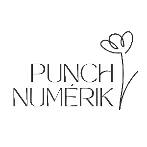Punch Numerik